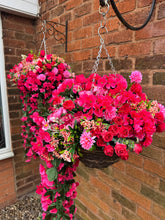 Load image into Gallery viewer, Red Pink Cerise Artificial Hanging Basket - Brown Basket