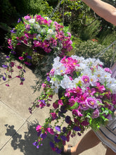 Load image into Gallery viewer, Purple and White Hanging Basket
