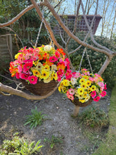 Load image into Gallery viewer, Summer 2025 Deal - Pink , Yellow and Orange Artificial Hanging Baskets
