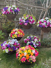 Load image into Gallery viewer, Summer 2025 Deal - Pink , Yellow and Orange Artificial Hanging Baskets
