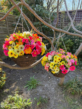 Load image into Gallery viewer, Summer 2025 Deal - Pink , Yellow and Orange Artificial Hanging Baskets
