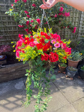 Load image into Gallery viewer, Pink Red and Yellow
