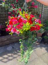Load image into Gallery viewer, Pink Red and Yellow
