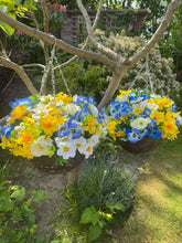 Load image into Gallery viewer, Blue Yellow and Ivory Artificial Hanging Baskets - Set of 2
