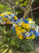 Load image into Gallery viewer, Blue Yellow and Ivory Artificial Hanging Baskets - Set of 2
