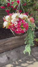 Load and play video in Gallery viewer, Pink Mix Hanging Basket
